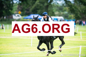 本赛季各项赛事总进球榜：姆巴佩、凯恩34球最多，哈兰德第三